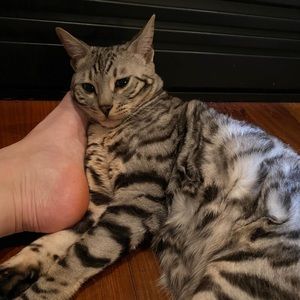 Meet your Posher, Rebecca